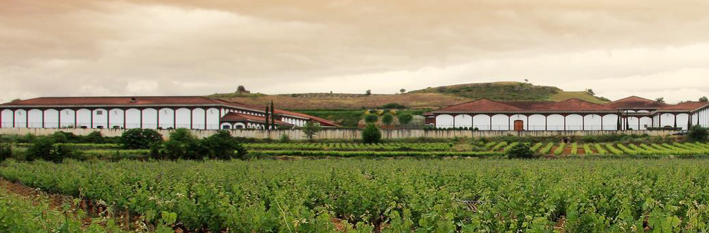 In the Spotlights: wijnhuis El Coto de Rioja