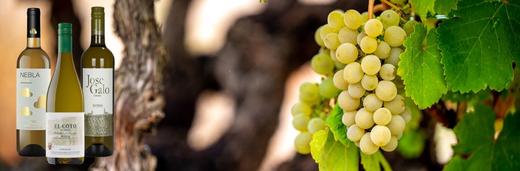 Verdejo