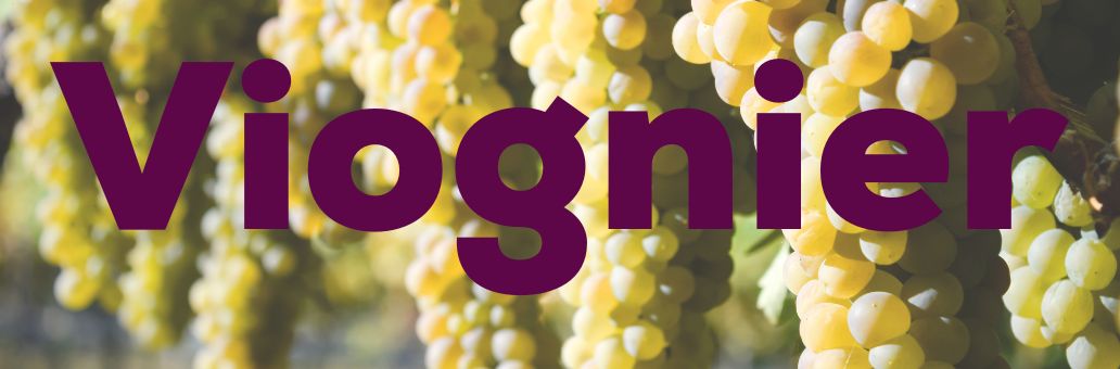 Viognier: dé voorjaarsfavoriet die je geproefd moet hebben
