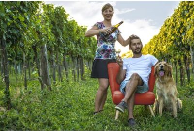 Weingut Diwald: Biologische topwijnen uit Oostenrijk met karakter