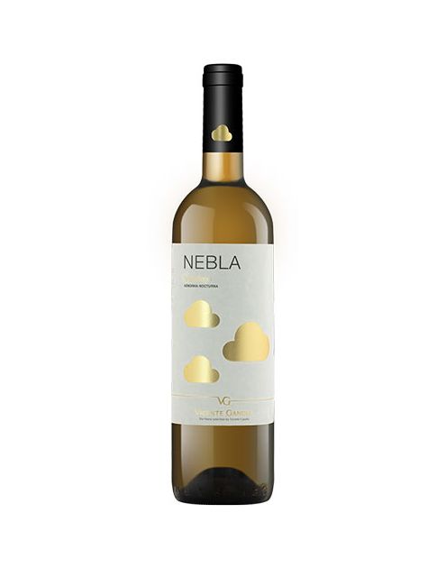 Nebla Verdejo Vicente Gandia
