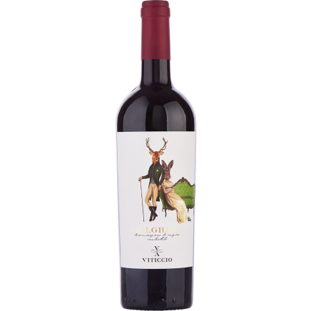 Viticcio Bolgheri DOC